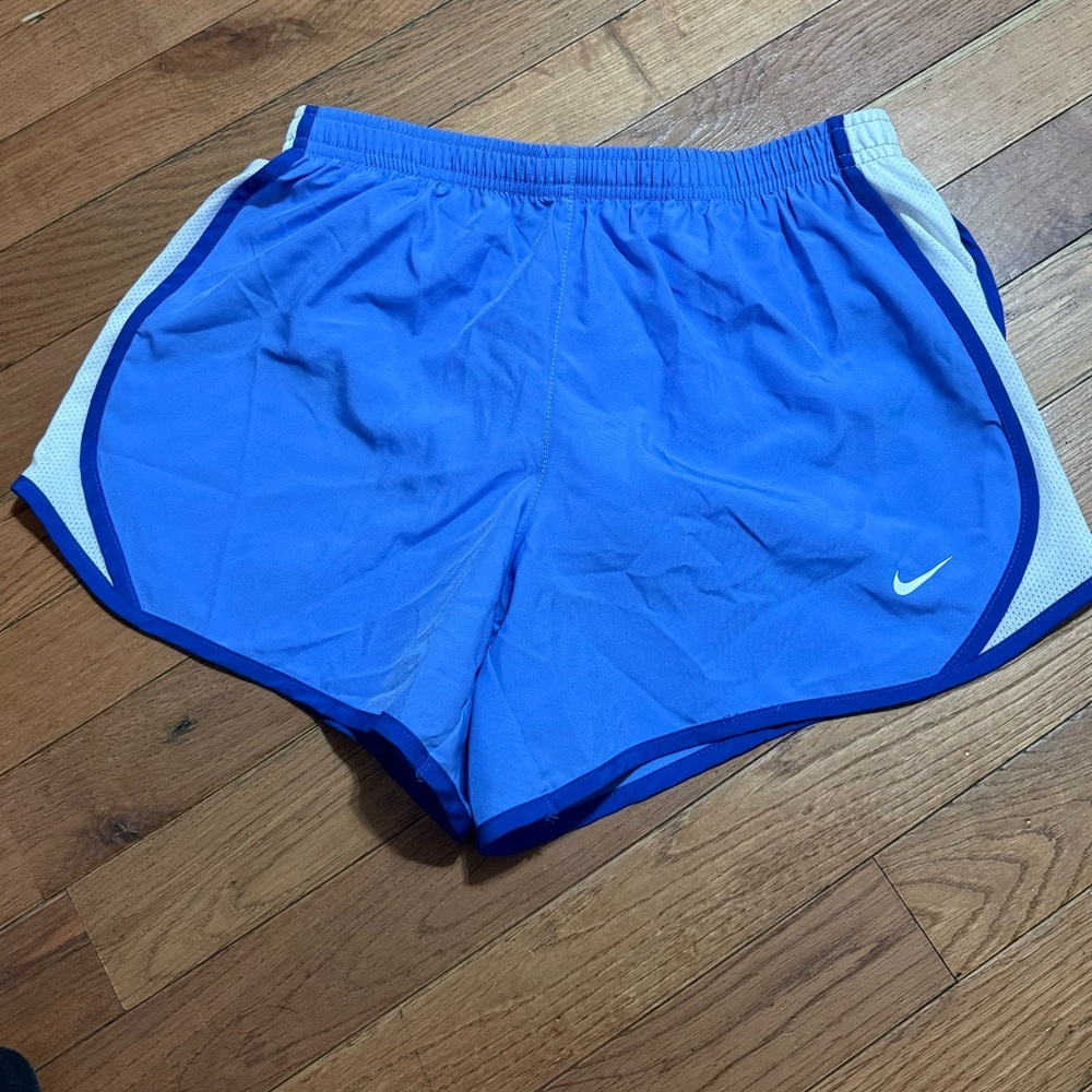 Nike Purplish/ Blue Athletic Shorts
